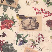 Petite Christmas Berry & Bird Holiday Print Paper ~ Tassotti 